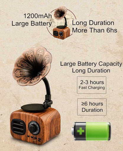 Retro Radio Portable Bluetooth