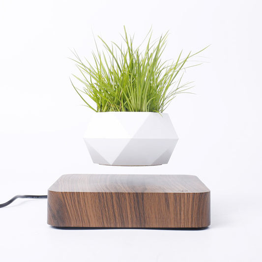 Levitating Air Bonsai Pot Flower