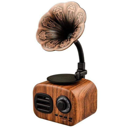 Retro Radio Portable Bluetooth
