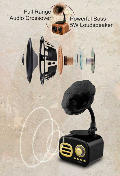 Retro Radio Portable Bluetooth
